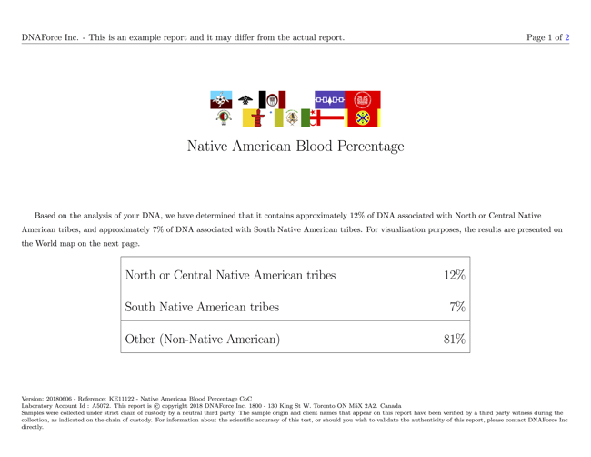 An example of results for native American DNA test (page 1).